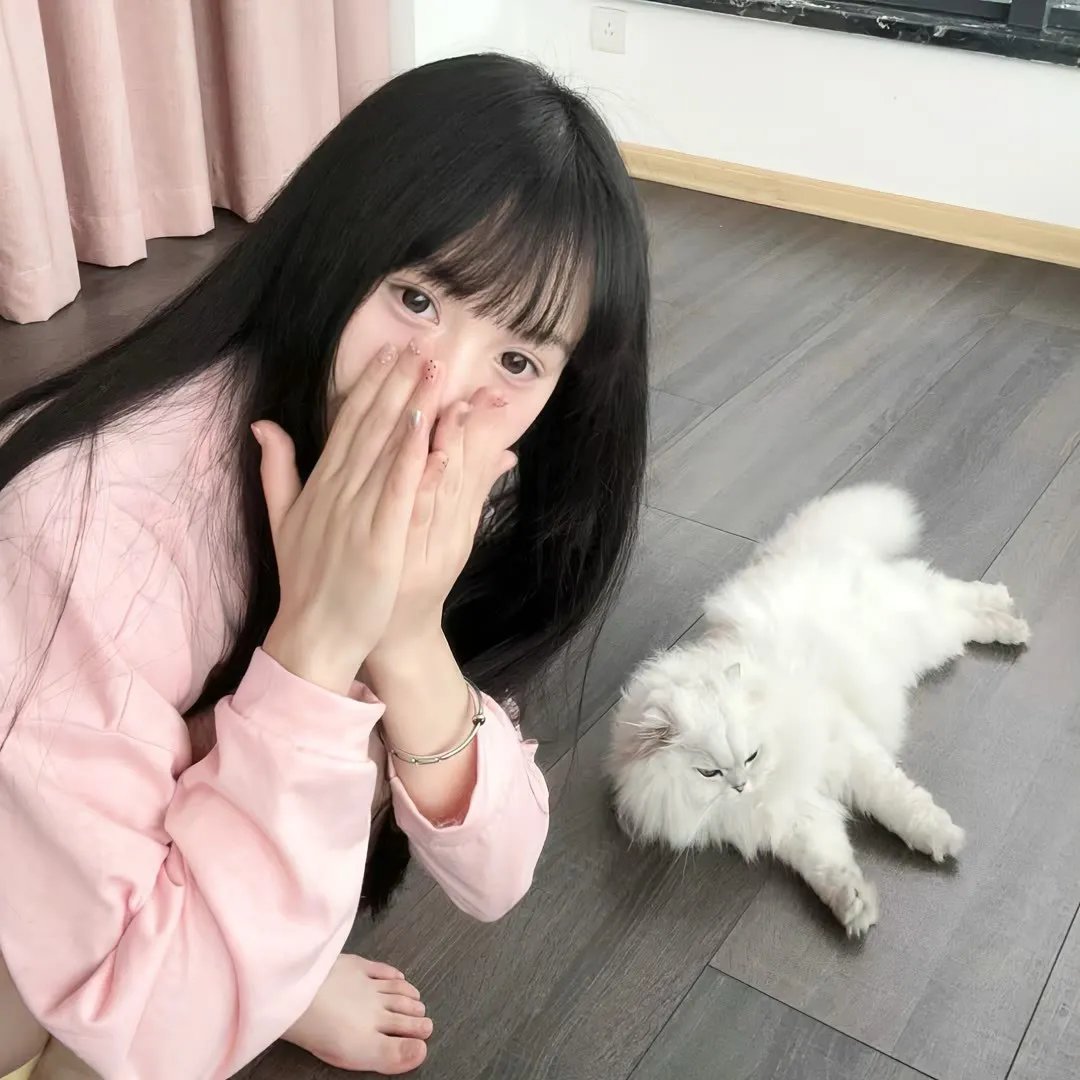 辣个艾莉丝